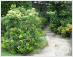 Path winding through a garden