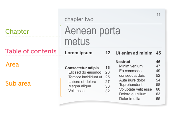 A broad overview of the table of contents of a chapter including areas and sub-areas