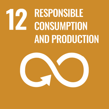 12. Responsible consumption and production